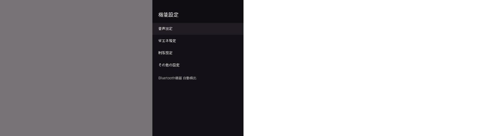 OSD_Audio out setting_7040_1